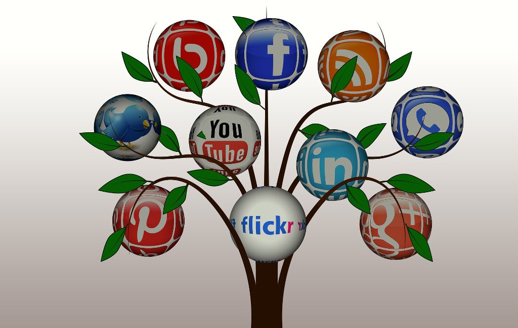 Árbol con diferentes redes sociales